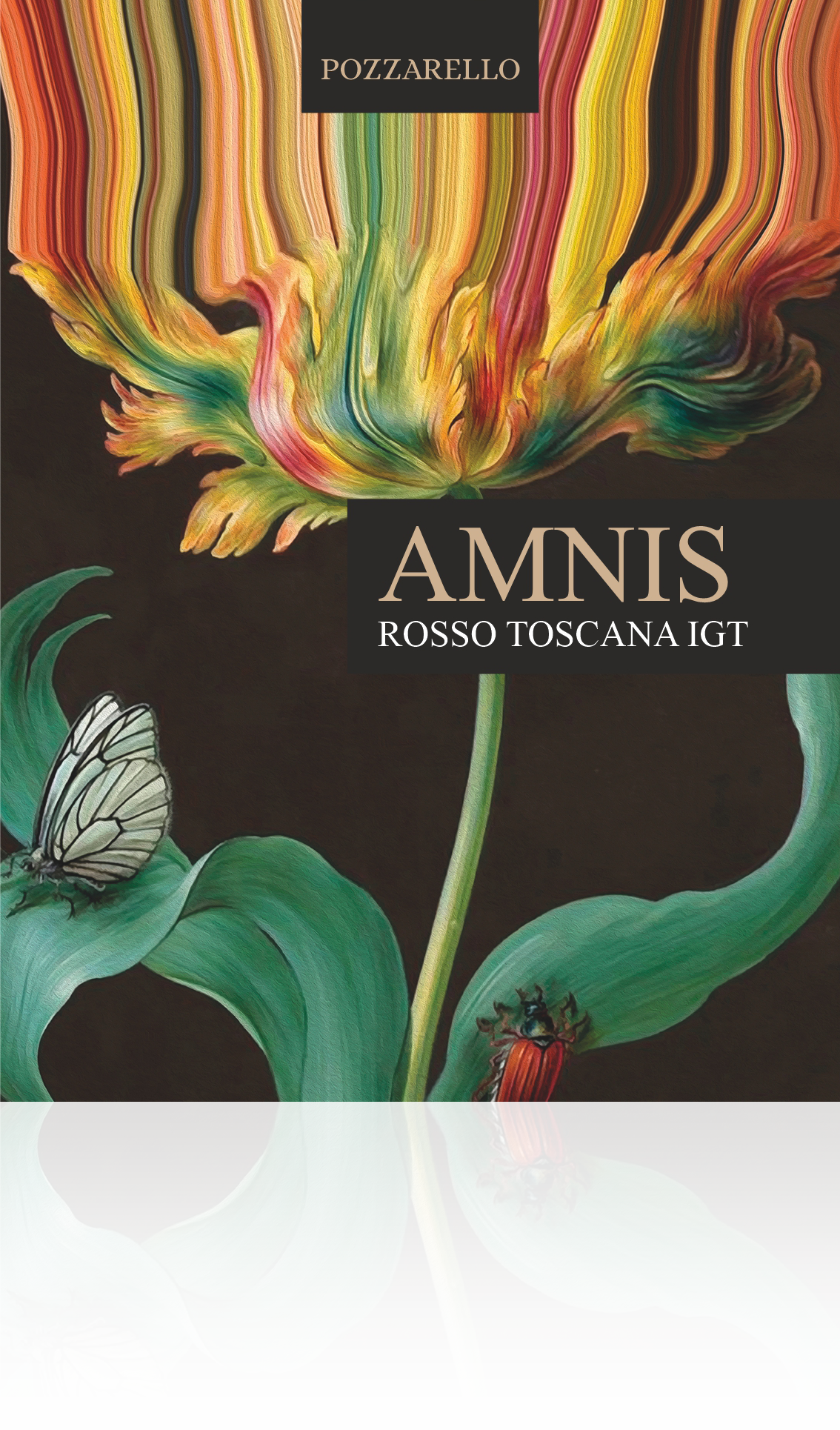 Amnis Front label