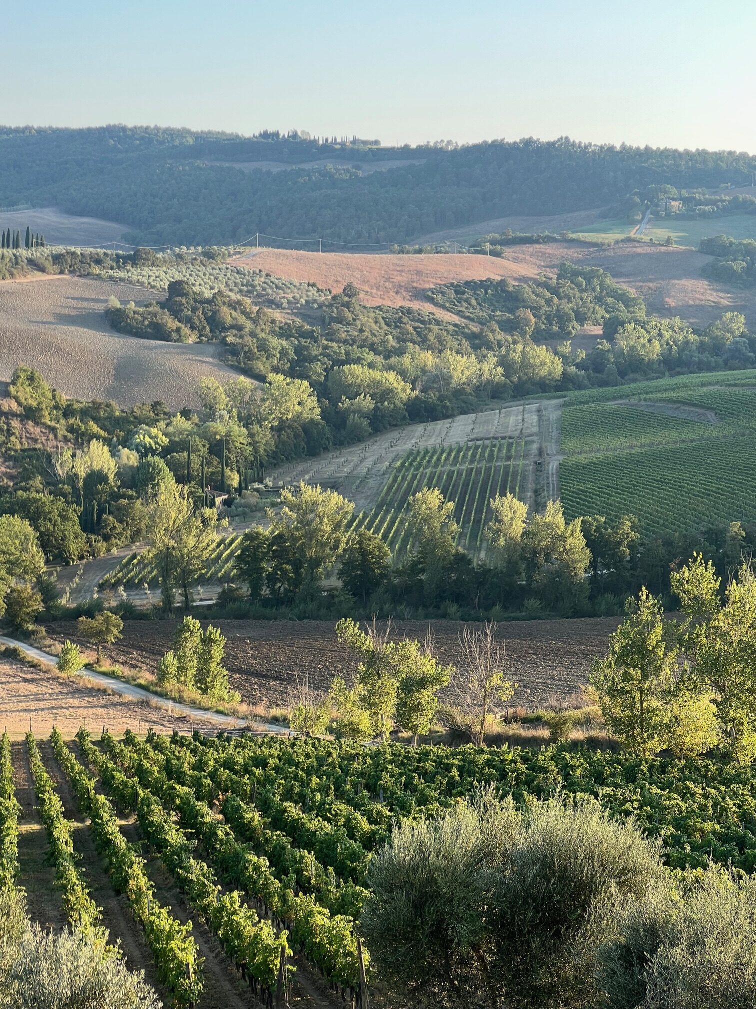 pozzarello-immagini-11