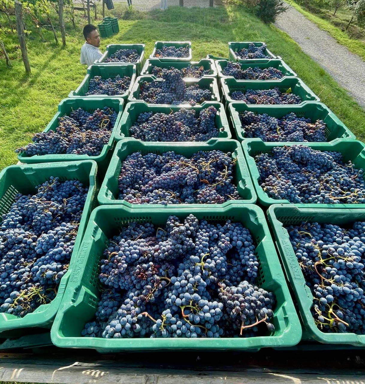 pozzarello-immagini-2